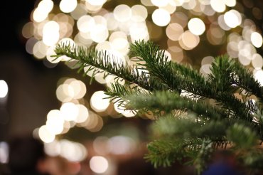 Julbild